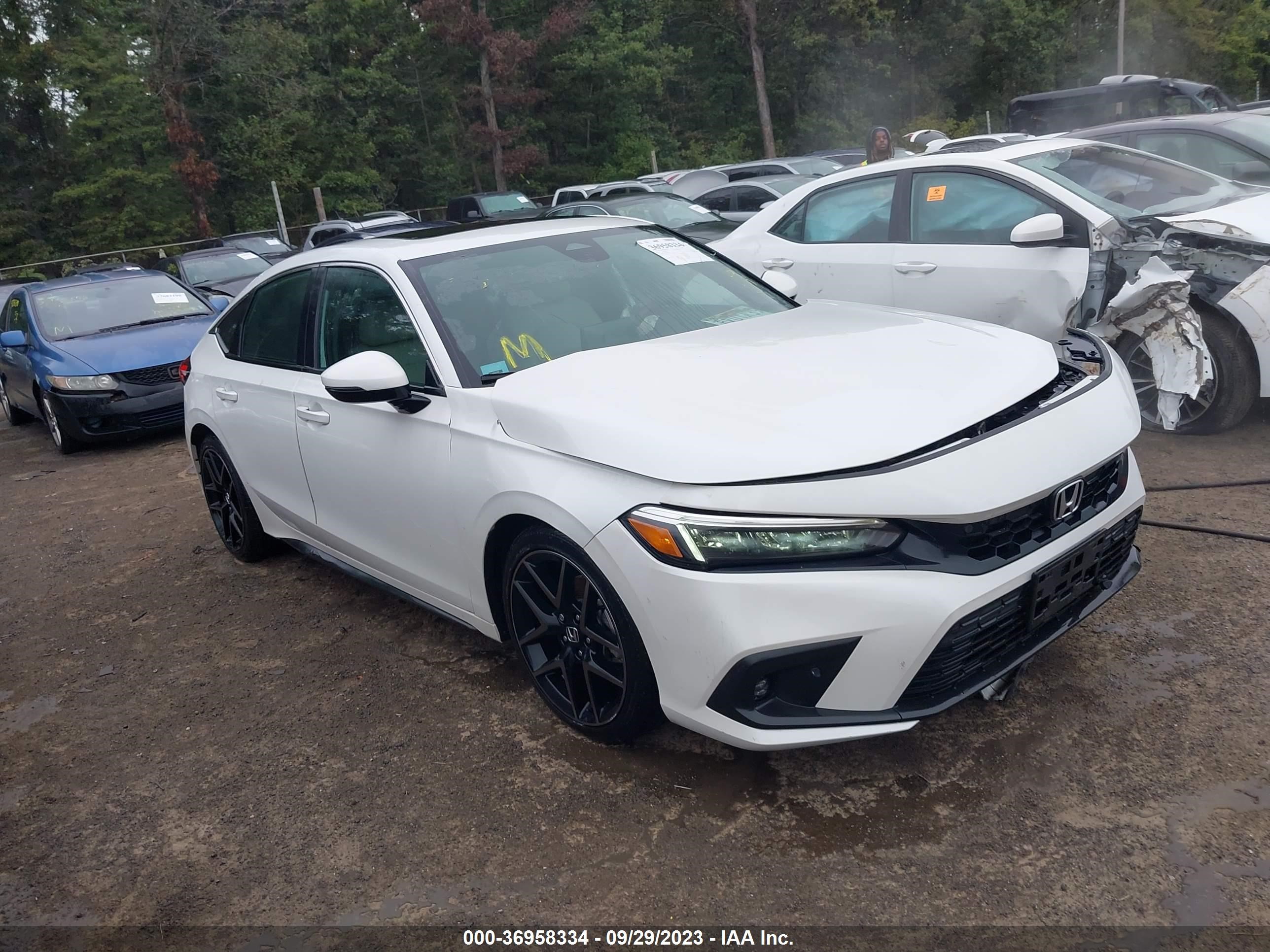 honda civic 2022 19xfl1h84ne007159