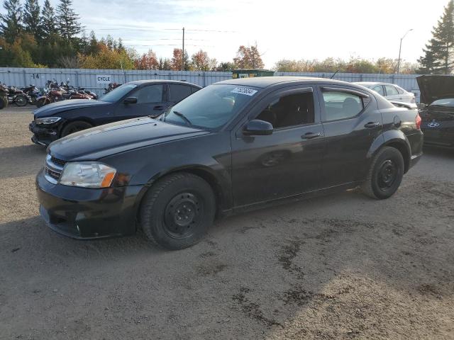 dodge avenger ma 2011 1b3bd1fb5bn564701