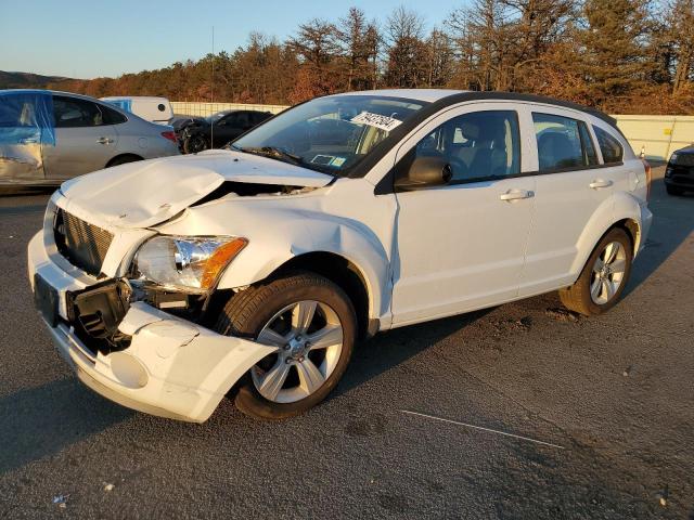 dodge caliber ma 2011 1b3cb3ha1bd254920