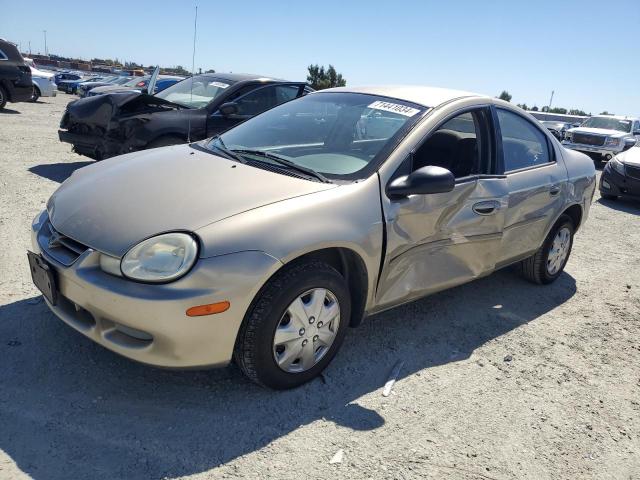 dodge neon 2002 1b3es26c02d572180