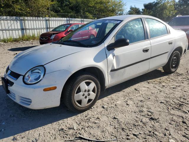 dodge neon base 2004 1b3es26c04d583473