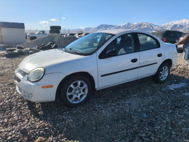 dodge neon base 2004 1b3es26c34d507083