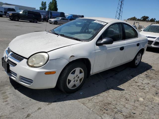 dodge neon 2004 1b3es26c64d634961