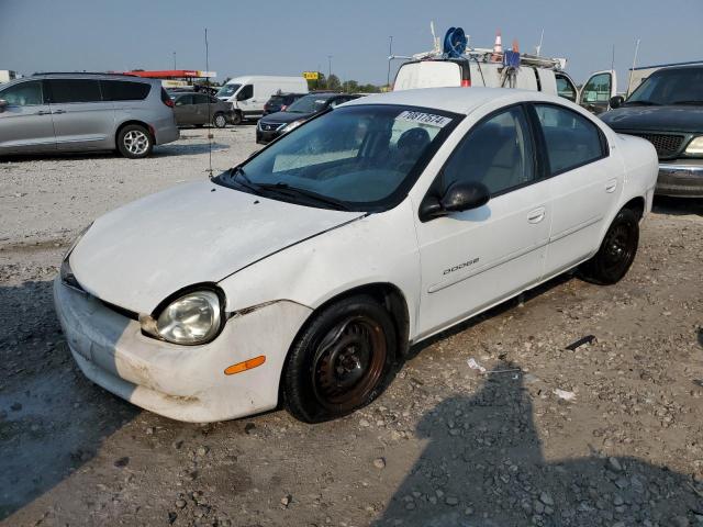 dodge neon base 2000 1b3es46c8yd504455