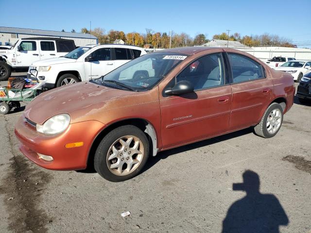 dodge neon base 2000 1b3es46cxyd687325