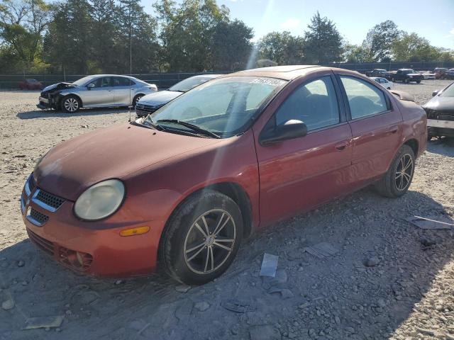 dodge neon sxt 2004 1b3es56c24d634926