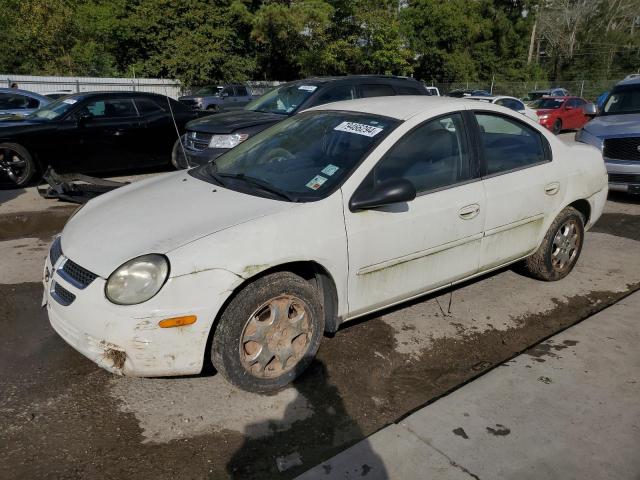 dodge neon sxt 2005 1b3es56c35d246296