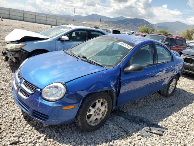 dodge neon 2005 1b3es56c45d199179