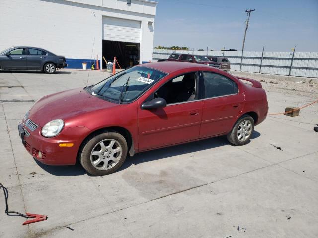 dodge neon sxt 2005 1b3es56c55d200100