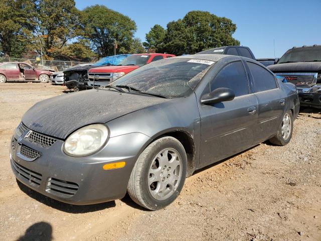 dodge neon sxt 2005 1b3es56c85d173281