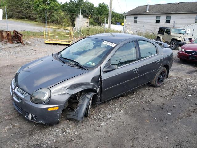 dodge neon 2004 1b3es56cx4d641820