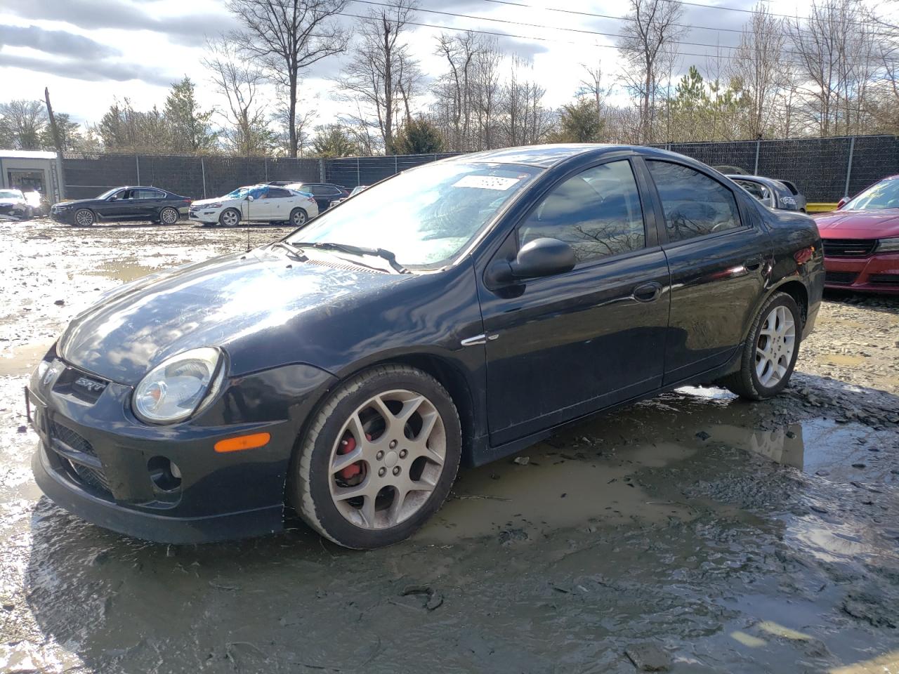 dodge neon 2003 1b3es66s23d234859