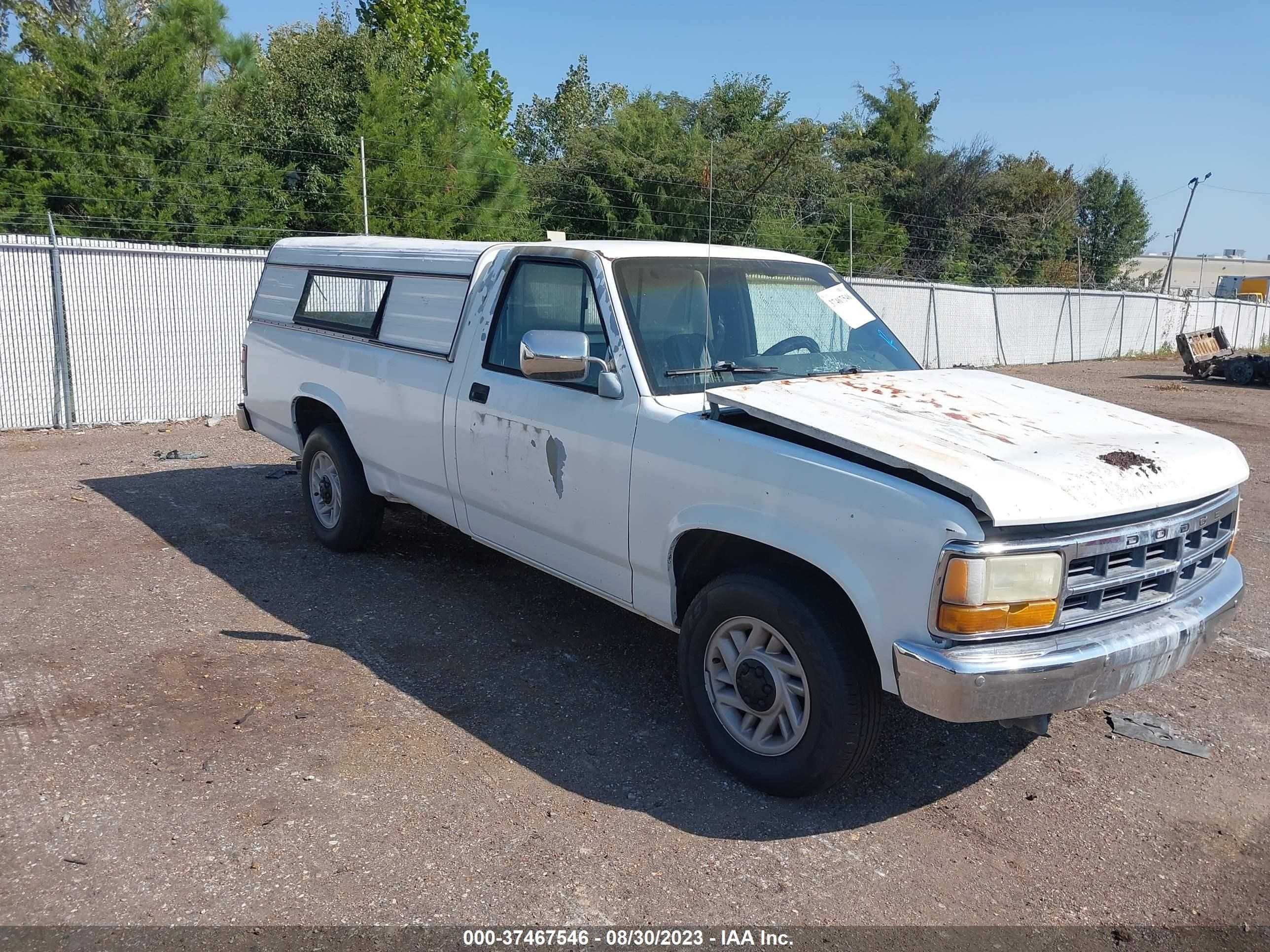 dodge dakota 1992 1b7fl26x7ns666611