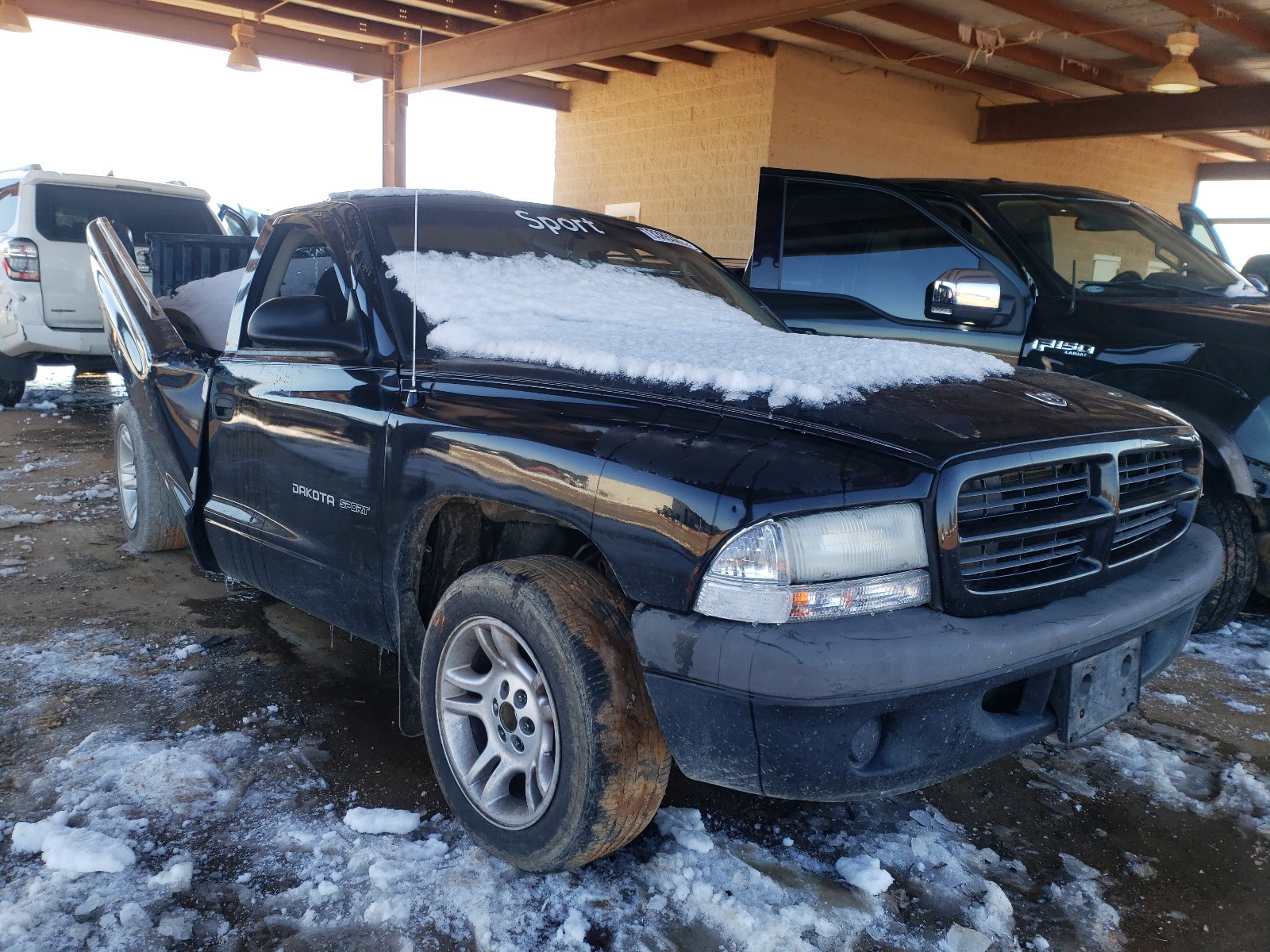 dodge dakota spo 2002 1b7fl36n22s505003