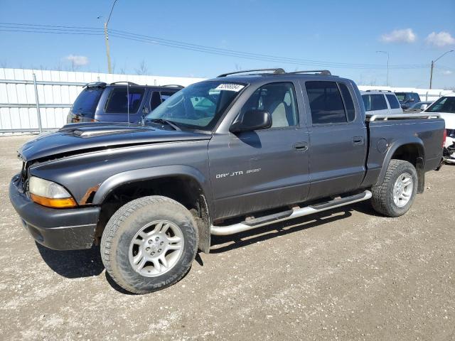 dodge dakota 2002 1b7hg38n32s600096