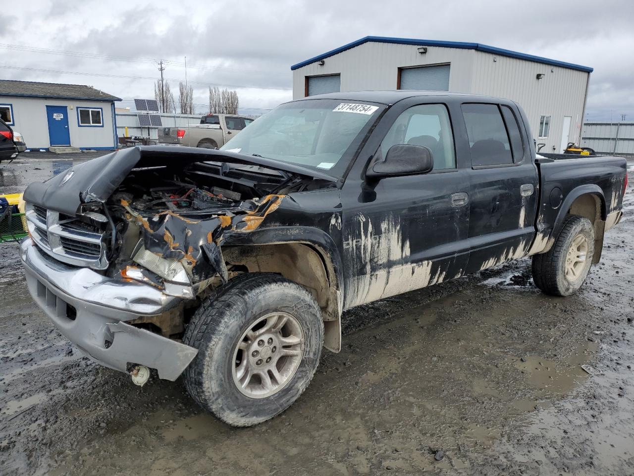 dodge dakota 2002 1b7hg48n52s653498