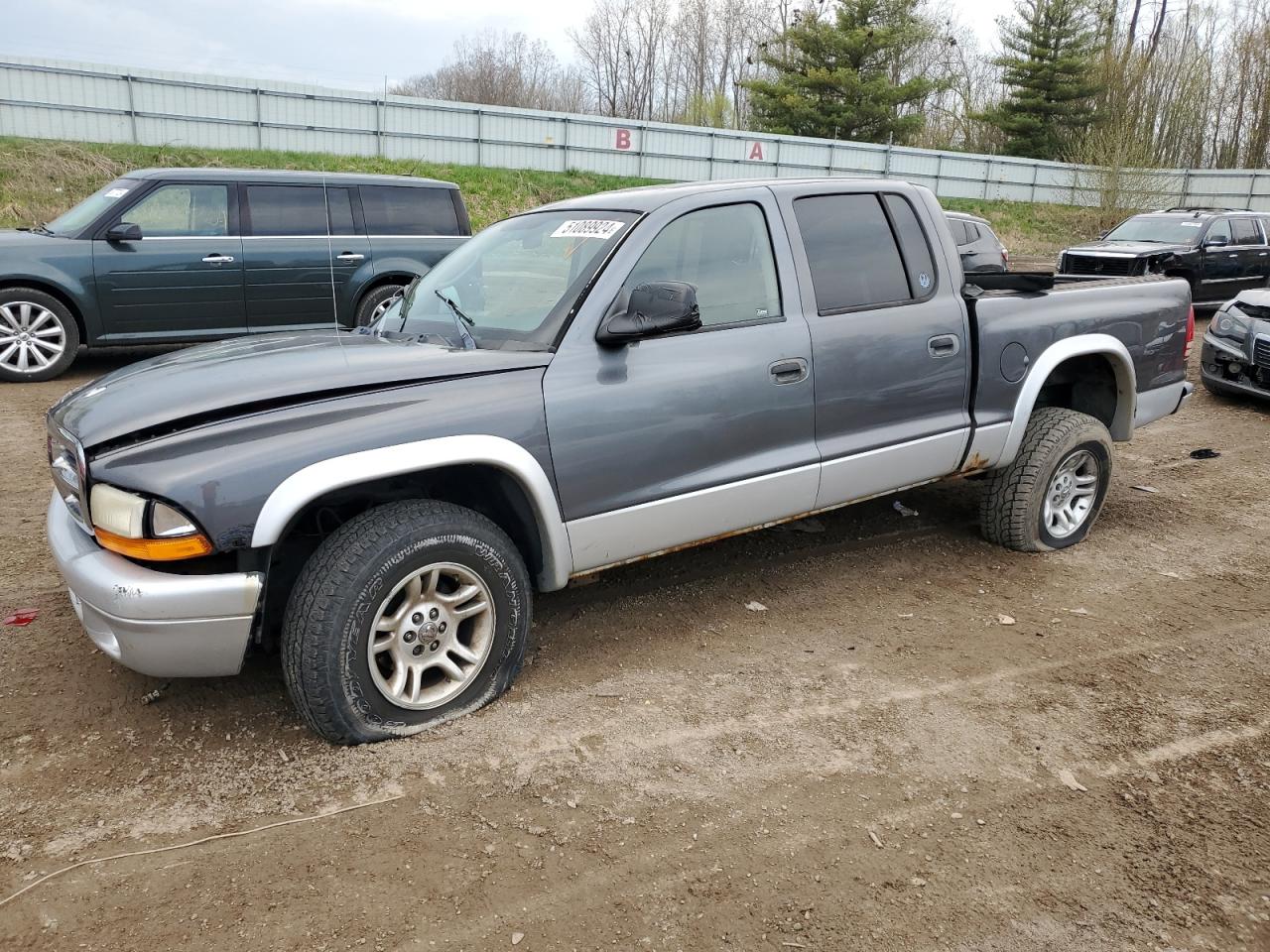 dodge dakota 2002 1b7hg48nx2s696153