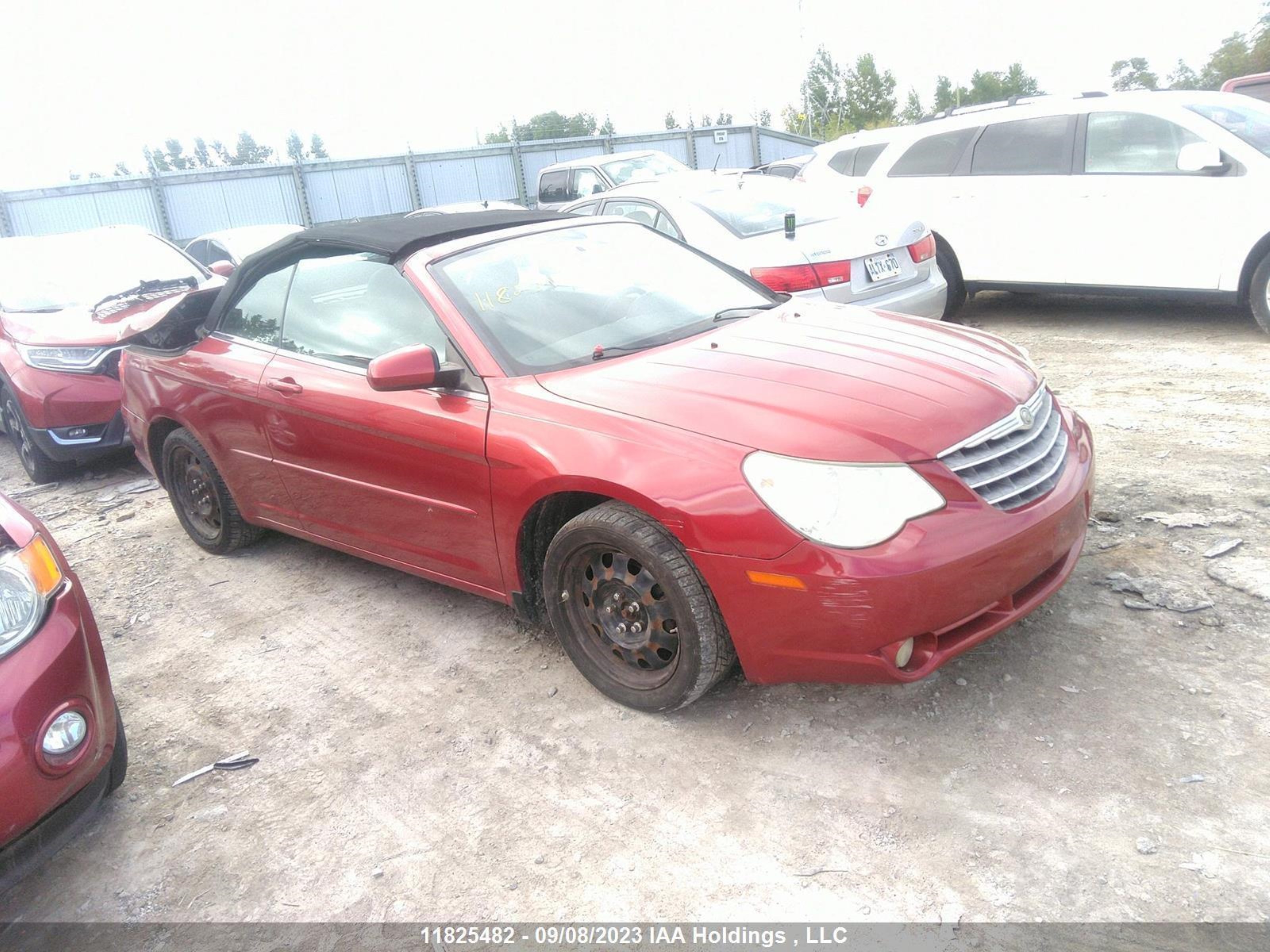 chrysler sebring 2009 1c3lc55d39n570608