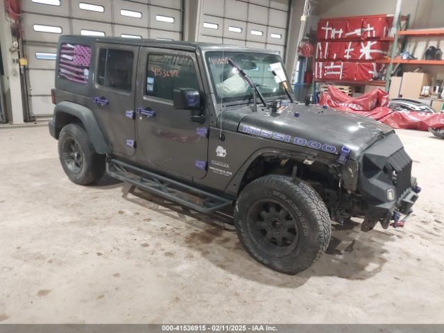 jeep wrangler 2016 1c4bjwdg1gl164642