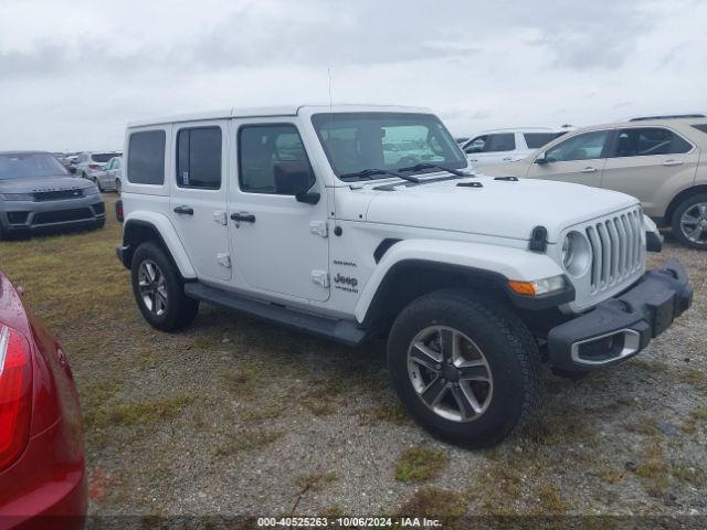 jeep wrangler 2019 1c4hjxeg3kw534415