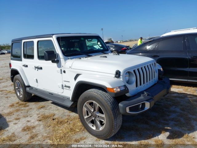 jeep wrangler 2023 1c4hjxeg6pw572552