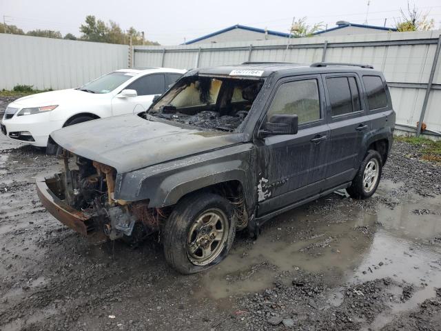 jeep patriot 2014 1c4njrabxed564553