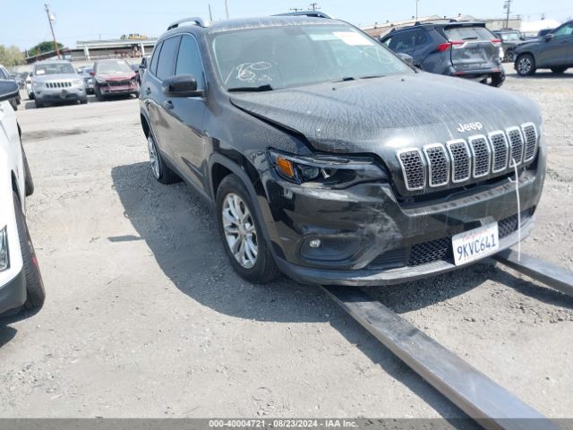 jeep cherokee 2019 1c4pjlcb1kd247355