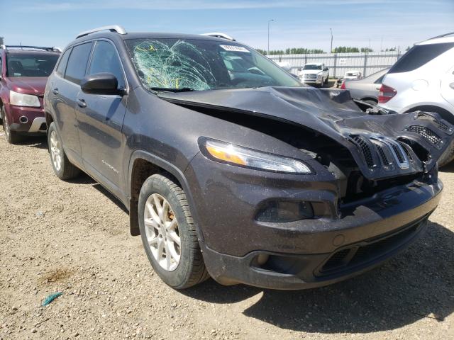 jeep  2014 1c4pjlcb9ew271802