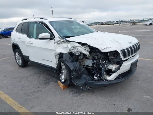 jeep cherokee 2019 1c4pjlcb9kd176695