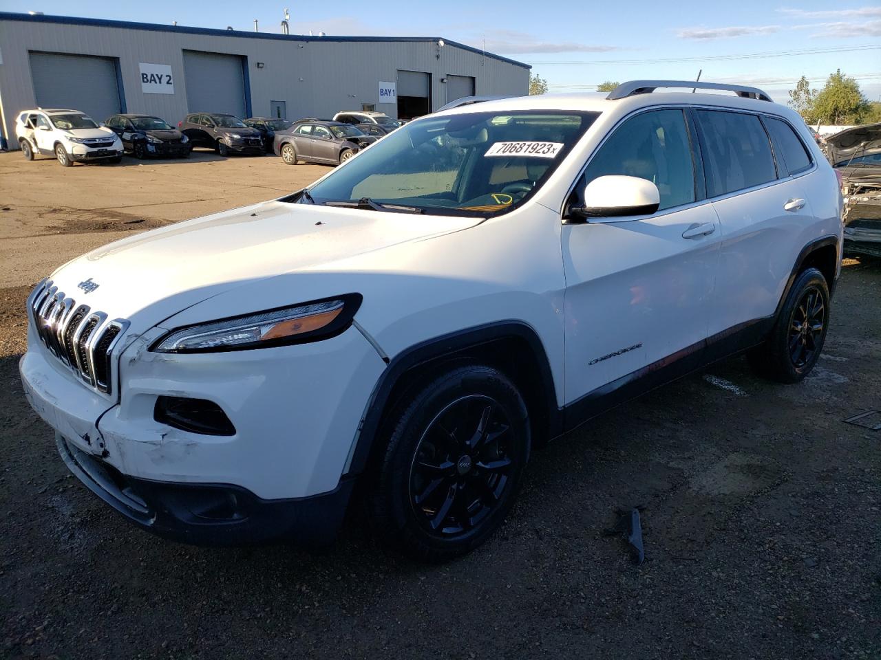 jeep grand cherokee 2014 1c4pjlcbxew205341