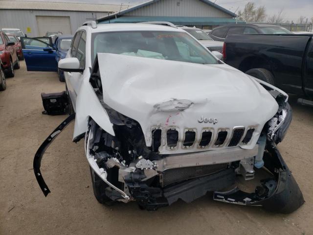 jeep cherokee 2019 1c4pjlcbxkd128557