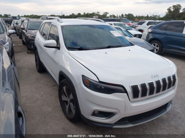 jeep cherokee 2019 1c4pjldb0kd326031