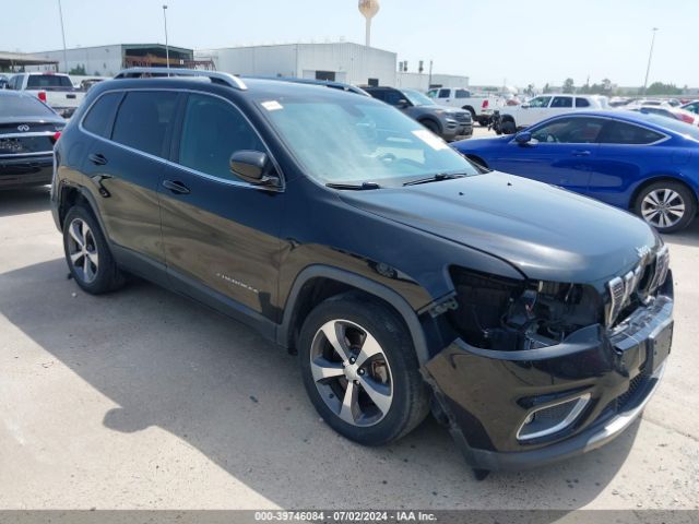 jeep cherokee 2019 1c4pjldb0kd438599