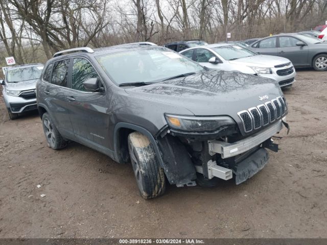 jeep cherokee 2019 1c4pjldb1kd346398