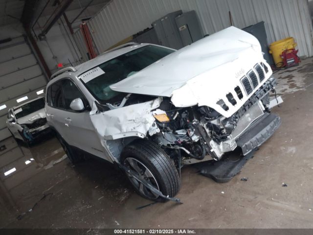 jeep cherokee 2019 1c4pjldb6kd114282