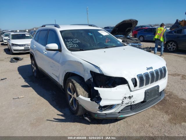 jeep cherokee 2019 1c4pjldb6kd466407