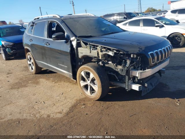 jeep cherokee 2019 1c4pjldb7kd433982