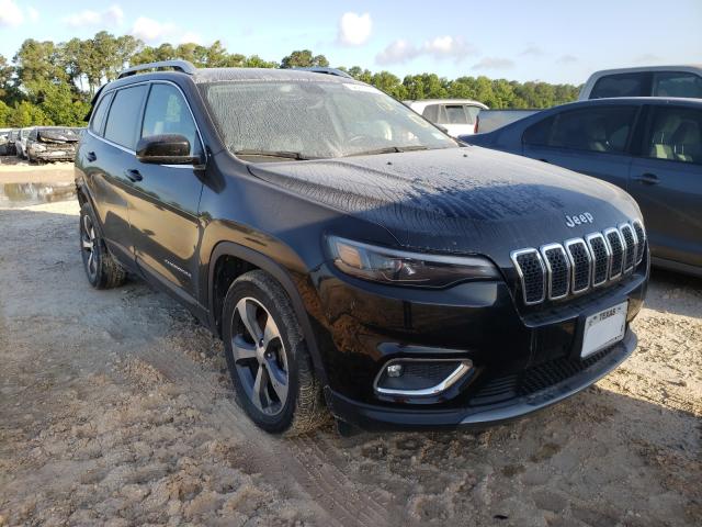 jeep  2019 1c4pjldb9kd415998