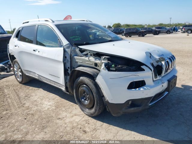 jeep cherokee 2017 1c4pjlds8hw642810