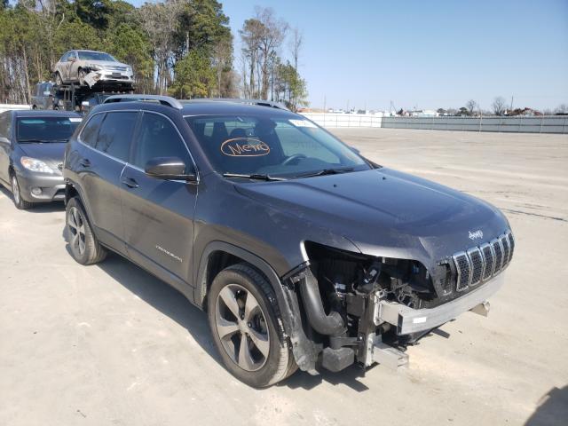 jeep  2019 1c4pjldx1kd216035