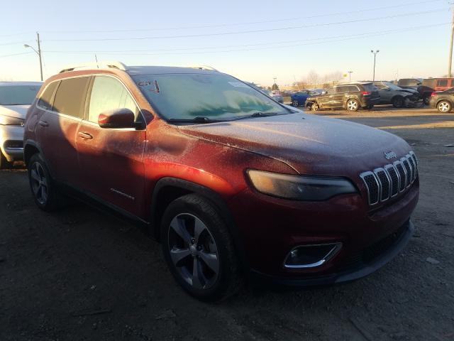 jeep  2019 1c4pjldx2kd111052