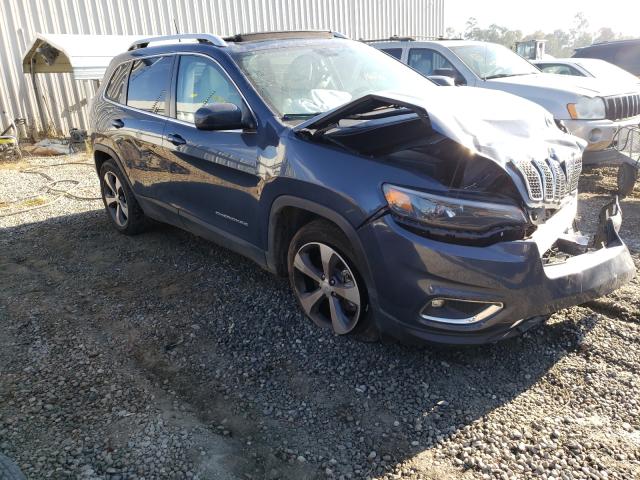 jeep  2019 1c4pjldx5kd382039