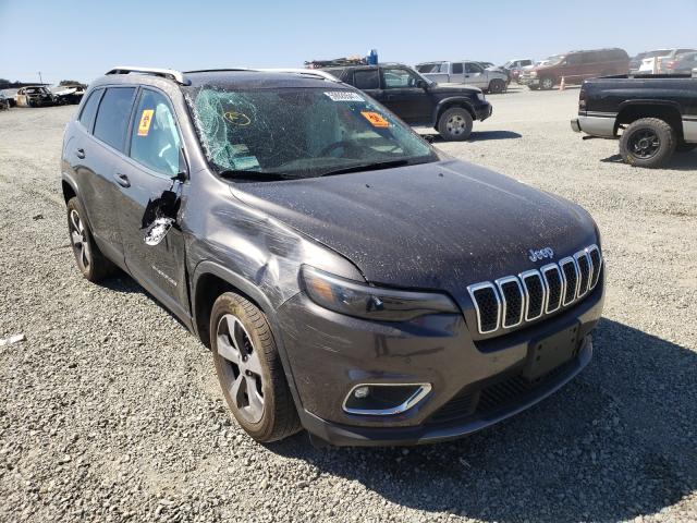 jeep  2019 1c4pjldx6kd297291