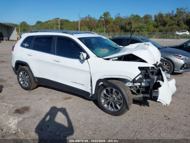 jeep cherokee 2021 1c4pjllb0md199897