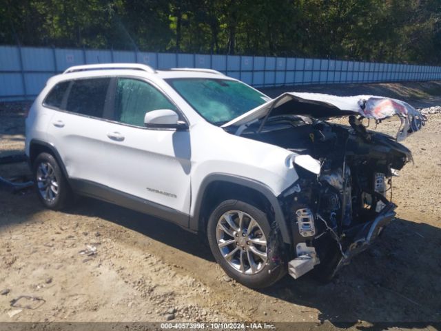 jeep cherokee 2019 1c4pjllb2kd344855