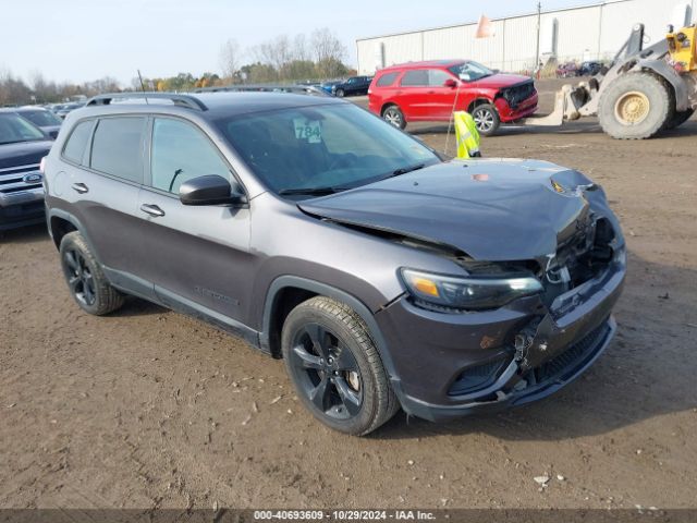 jeep cherokee 2019 1c4pjllb3kd365620