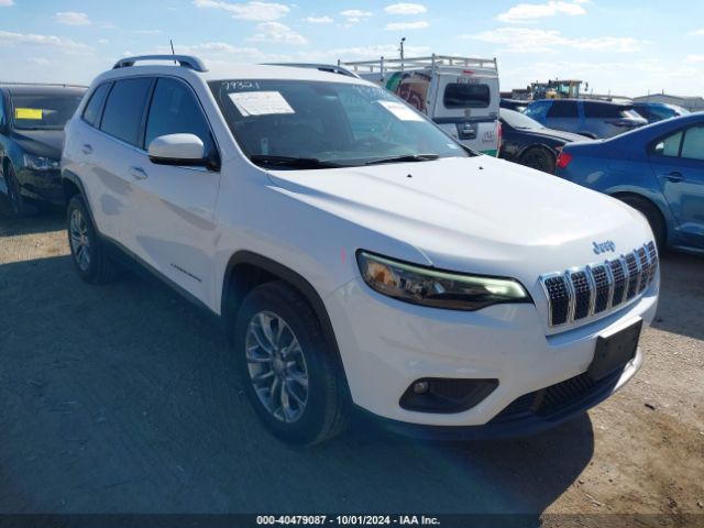 jeep cherokee 2020 1c4pjllb3ld561509