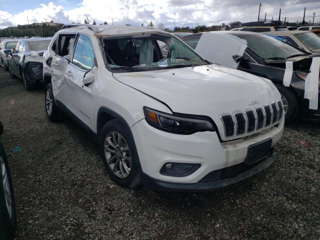 jeep cherokee l 2019 1c4pjllb7kd186898