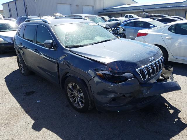 jeep  2019 1c4pjllb7kd479149