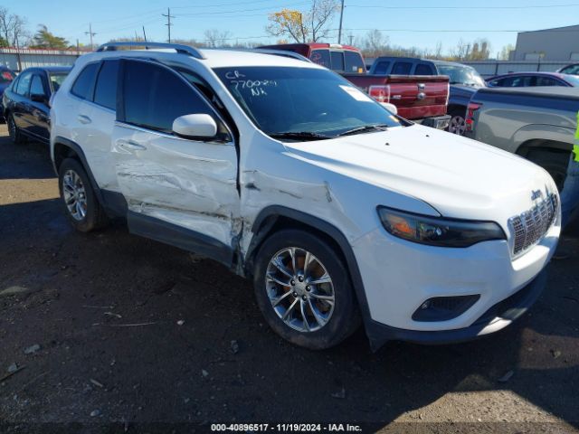 jeep cherokee 2019 1c4pjllb9kd132597